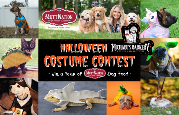 Vote for Your Favorite Pet to Win a Year’s Supply of Dog Food!