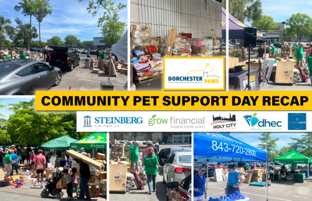 RECAP: Community Pet Support Day – June 18, 2022
