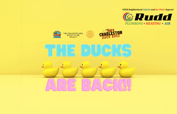 It’s Duck Season: Adopt a Duck for a Chance to Win $10k