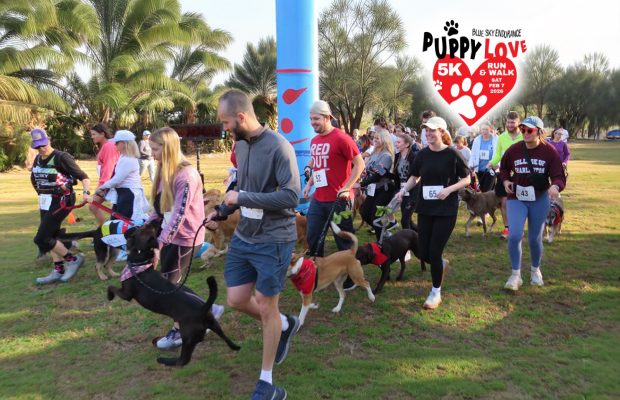 Feb 7: Join the Four-Legged Fun Run – Puppy Love 5K Feb 7: Join the Four-Legged Fun Run – Puppy Love 5K